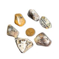 Opala Rolada Natural Tipo A - Pedra Fossilizada 20 a 30mm para Orgone e Uso Esotérico Opala Rolada Natural Tipo A - Pedra Fossilizada 20 a 30mm para Orgone e Uso Esotérico