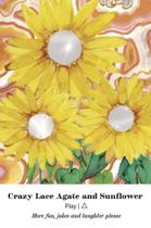 Oráculo da Alquimia da Terra: Conecte-se à sabedoria e beleza dos reinos vegetal e cristal Cartas Oráculo da Alquimia da Terra: Conecte-se à sabedoria e beleza dos reinos vegetal e cristal Cartas