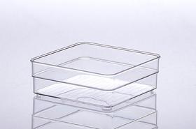 Organizador 15x15x5,2cm (2pçs