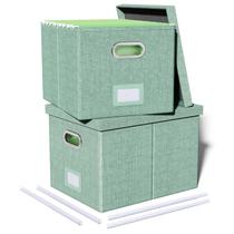 Organizador de armazenamento de arquivos Oterri, pacote com 2 unidades, verde com tampa Organizador de armazenamento de arquivos Oterri, pacote com 2 unidades, verde com tampa