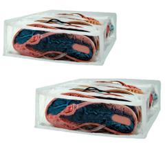 Organizador De Rasteirinhas Transparente 10 Nichos 2Unid