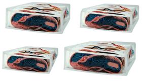 Organizador de Rasteirinhas Transparente e Branco 10 Nichos 4Unid