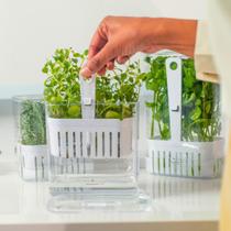 Organizador de Temperos 1,5L Clear Fresh OU Organizador de Temperos 1,5L Clear Fresh OU