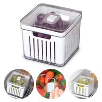 Organizador Geladeira Tampa Acrílico Drenagem 2,8 Litros Organizador Geladeira Tampa Acrílico Drenagem 2,8 Litros