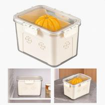 Organizador Multiuso Geladeira Caixa Armazenar Frutas Verduras Legumes Carnes Alimentos Organizador Multiuso Geladeira Caixa Armazenar Frutas Verduras Legumes Carnes Alimentos