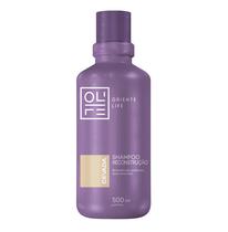 Oriente life cevada shampoo home care 500ml* Oriente life cevada shampoo home care 500ml*