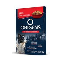 Origens Sachê para Cães Adultos Sabor Carne com Abóbora 85 g
