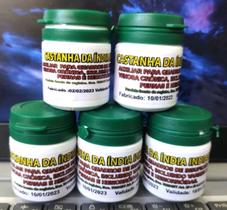 Original Castanha Índia Indiana lacrada 5 Unidades e Validade até 2027 - Natural Ervas