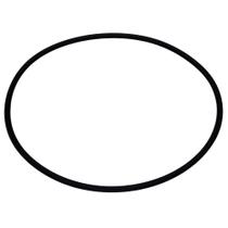 Oring 63,22X1,78mm Compatível com Lavadora WAP Enduro Triplex