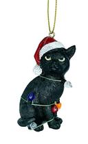 Ornamento preto da árvore de Natal do gato com chapéu de Papai Noel embrulhado em luzes coloridas da árvore de Natal - December Pets