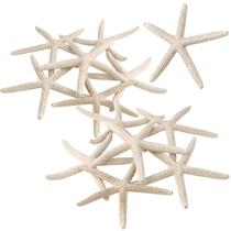 Ornamento Starfish PPCLION 12 peças de 7 a 10 cm, decoração artesanal