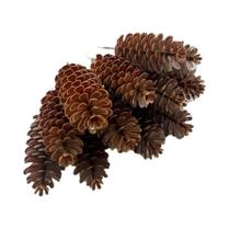 Ornamentos Realistas De Pinha Artificial 20-30 Peças Para Árvore De Natal Guirlanda Vaso Mesa Festa