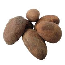 Orobos Africano - Orogbo Natural