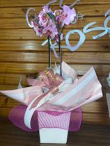 Orquídea 2 ástreas encaxepo rosa