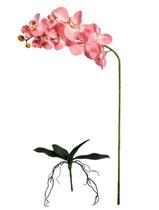 Orquidea Artificial + FOLHAS Artificiais Toque Real Tipo Silicone Flores Brancas Flor Decorativas