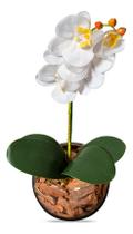 Orquídea Branca Artificial Arranjo Vaso Transparente Flores