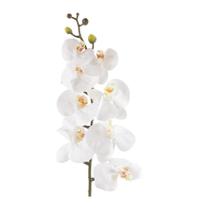 Orquídea Branca Artificial Grande para Arranjo - Decore Fácil Shop