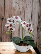 Orquídea Branca De Silicone No Vaso - Montada