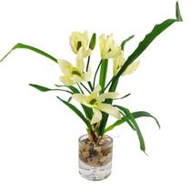 Orquídea Branca Planta Artificial 31X20X17Cm Com Vaso - Inigual