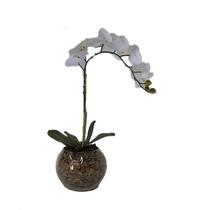 Orquídea Branca x1 Vaso Aquário - Biofil