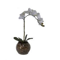 Orquídea Branca x1 Vaso Aquário Orquídea Branca x1 Vaso Aquário