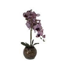 Orquídea Burgundy Pintada x2 Vaso Aquário