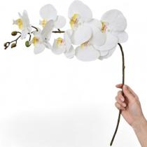 Orquídea De Silicone Toque Real Flor Permanente 89cm Orquídea De Silicone Toque Real Flor Permanente 89cm