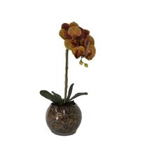Orquídea Laranja x1 Vaso Aquário Orquídea Laranja x1 Vaso Aquário