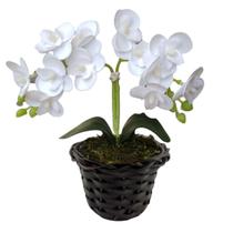 Orquídea Miniatura: Beleza Natural Em Versão Artificial - Lazer e Estilo
