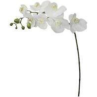 Orquidea phalaenopsis branca - 65cm