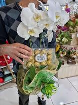 Orquídea phalaenopsis + cx Ferrero Rocher Orquídea phalaenopsis + cx Ferrero Rocher