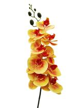 Orquídea Phalaenopsis Galho 09 FLores Amarela Toque Real