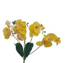 Orquídea Phalaenopsis Galho com 05 hastes 45 cm Orquídea Phalaenopsis Galho com 05 hastes 45 cm