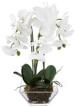 Orquídea Phalaenopsis tripla quase natural de planta artificial
