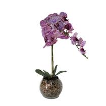 Orquídea Rosa Pintada x2 Vaso Aquário - Biofil