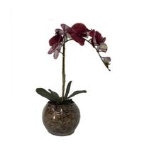 Orquídea Vermelha x1 Vaso Aquário - Biofil
