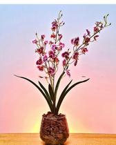 Orquídeas com vaso em Arranjo de Orquídeas artificiais rosa com vaso transparente de vidro - Br Beleza Brasileira