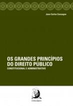 Os grandes princípios do direito público constitucional e administrativo