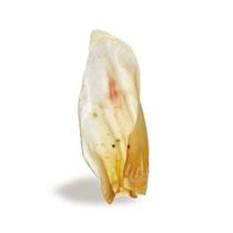 Osso Bonapet Natural Orelha para Cães 1 Unidade Osso Bonapet Natural Orelha para Cães 1 Unidade