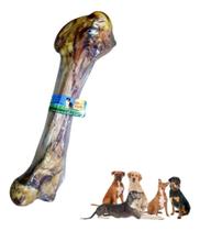 Osso Fêmur Bovino Desidratado Natural Dip Dog Raças Grandes
