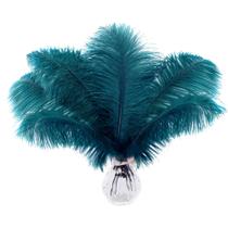 Ostrich Feathers Soarer Teal Colorful 15 unidades 30-35 cm