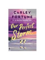 Our perfect storm - export edition Our perfect storm - export edition
