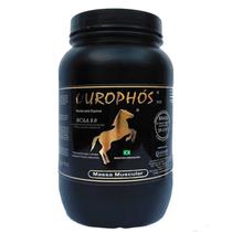 Ourophós Massa Muscular Com Bcaa 8.0 Albumina E Creatina 1Kg