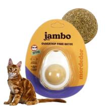 Ovo De Brinquedo Para Gatos Com Catnip Erva Gato Natural - Jambo Pet