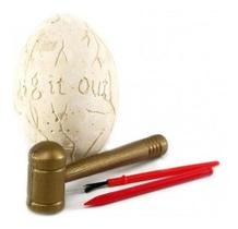 Ovo Dinossauro Dino Rex Fossil Arqueologia Escavação Dm Toys