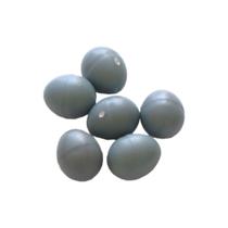 Ovo Indez Cinza Para Tarim, Manon e Mandarim Ovo Indez Cinza Para Tarim, Manon e Mandarim