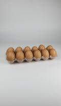 Ovos de Borracha para Cães/Gatos - Pacote com 12 Ovos de Borracha para Cães/Gatos - Pacote com 12