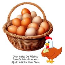 Ovos Indez De Plástico kit com 12 Envio Rápido! Ovos Indez De Plástico kit com 12 Envio Rápido!