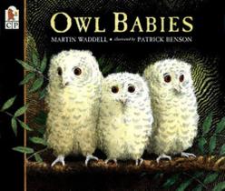 Owl Babies