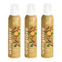 Pack 3 Espumas spray para drinks Begin Gengibre 200g